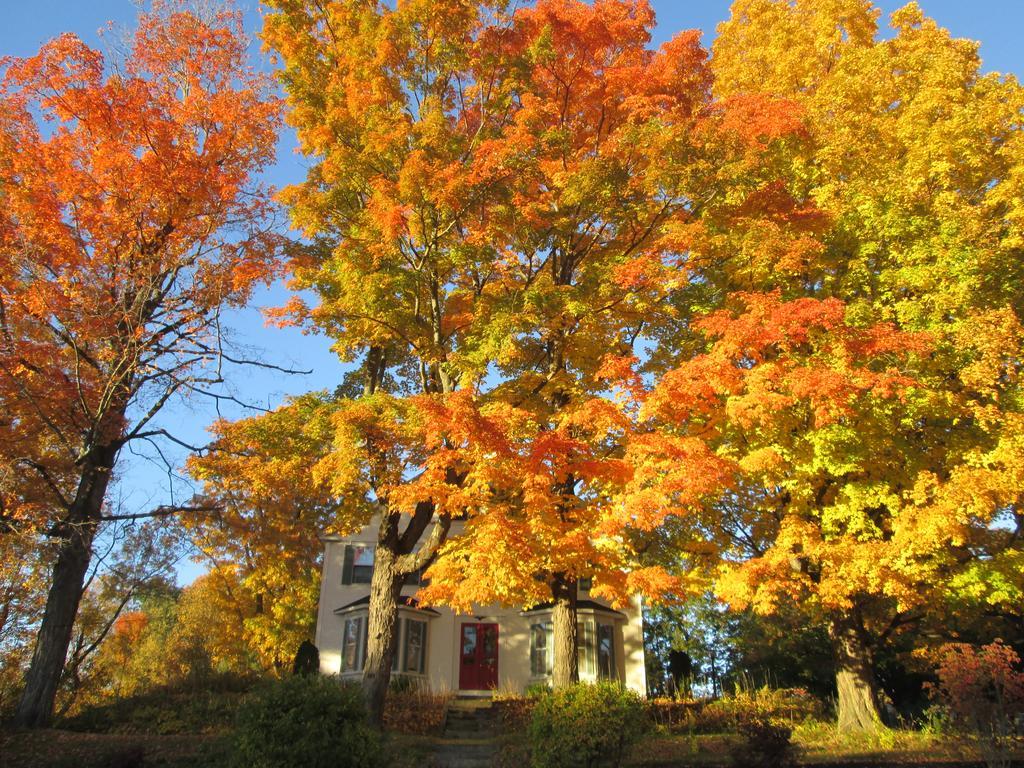 The Bridges Inn At Whitcomb House B&B Swanzey エクステリア 写真
