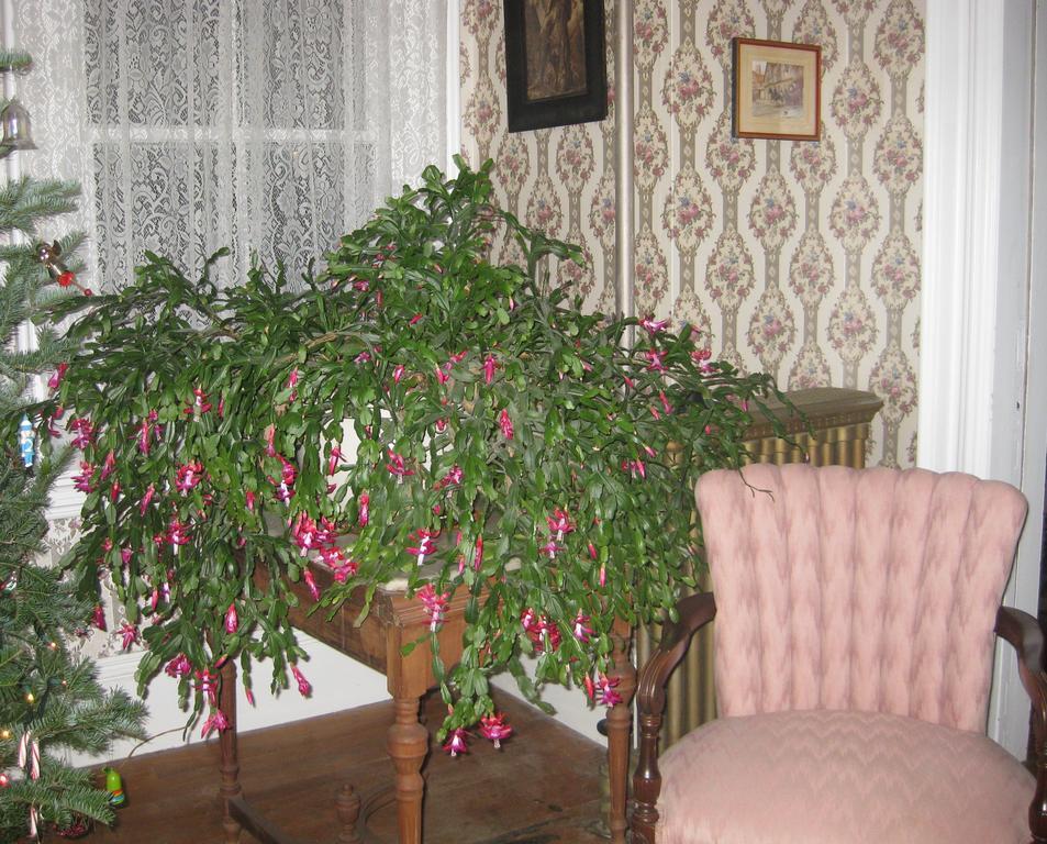 The Bridges Inn At Whitcomb House B&B Swanzey エクステリア 写真
